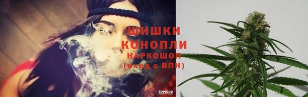 крисы Верея