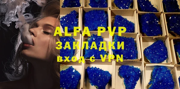 крисы Верея