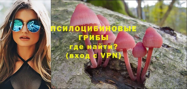 крисы Верея