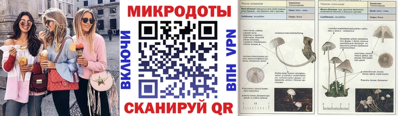 mega ССЫЛКА  Новохопёрск  Галлюциногенные грибы ЛСД 